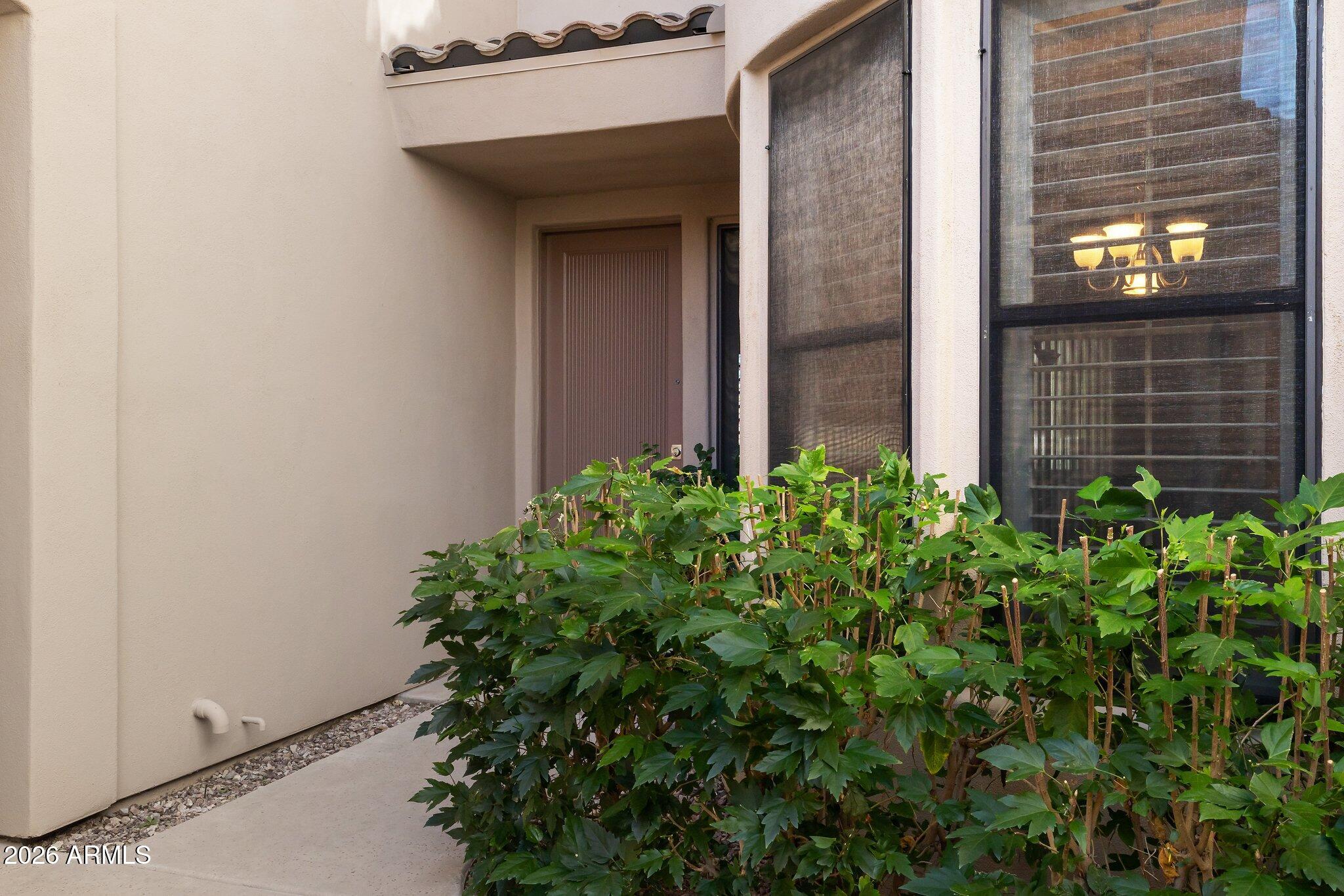 7445 E EAGLE CREST Drive 1143
