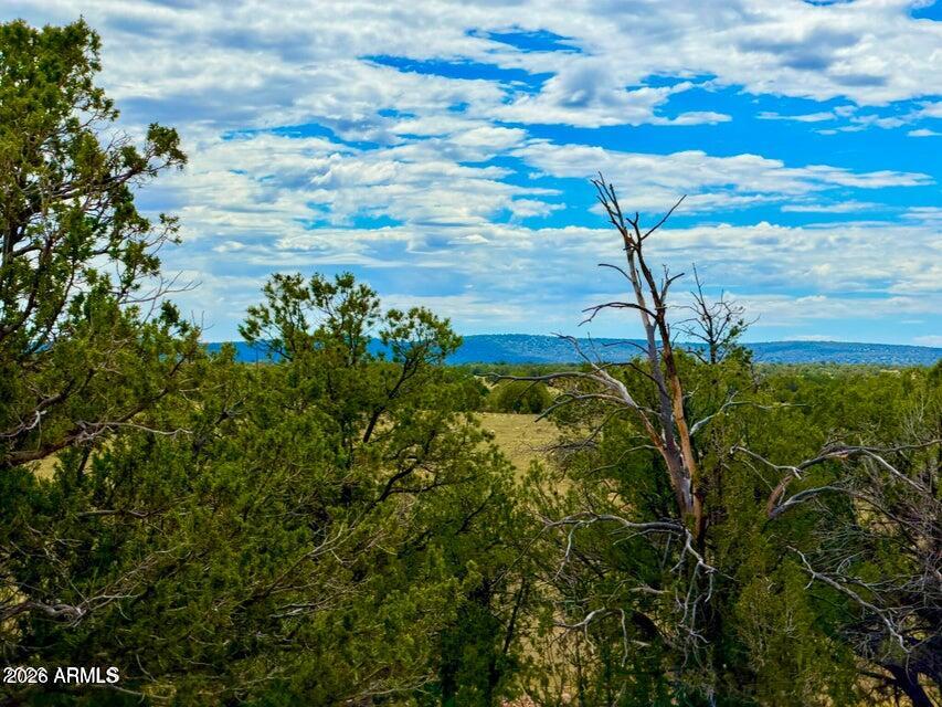 0 Dusty Rose Ranch Lot C 12 Acre -- -