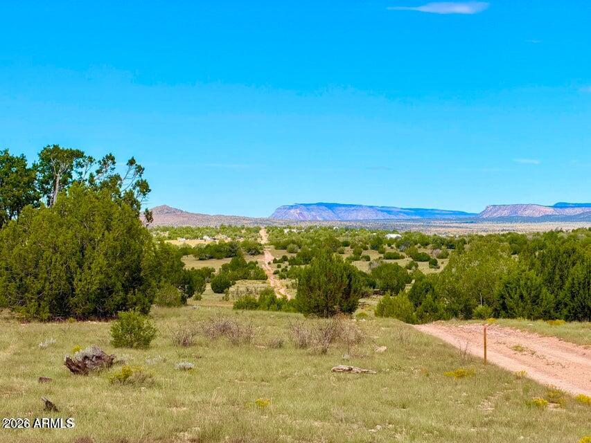 0 Dusty Rose Ranch Lot C 12 Acre -- -