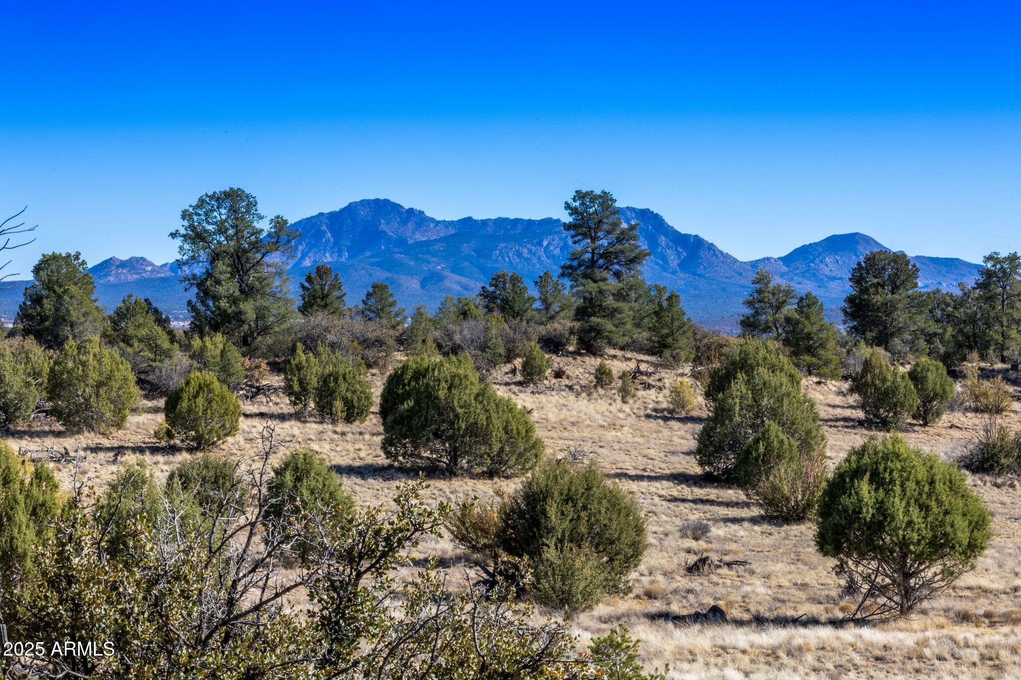 1 N Las Vegas Road -