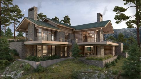 7 COUNTY ROAD N1102 -- 2 Greer AZ 85927