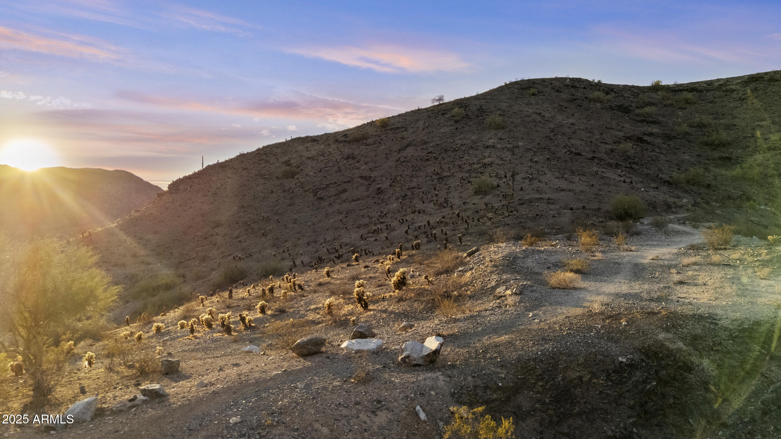 1682 E Desert Willow Drive 4