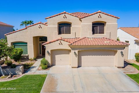 4502 S WILDFLOWER Place Chandler AZ 85248
