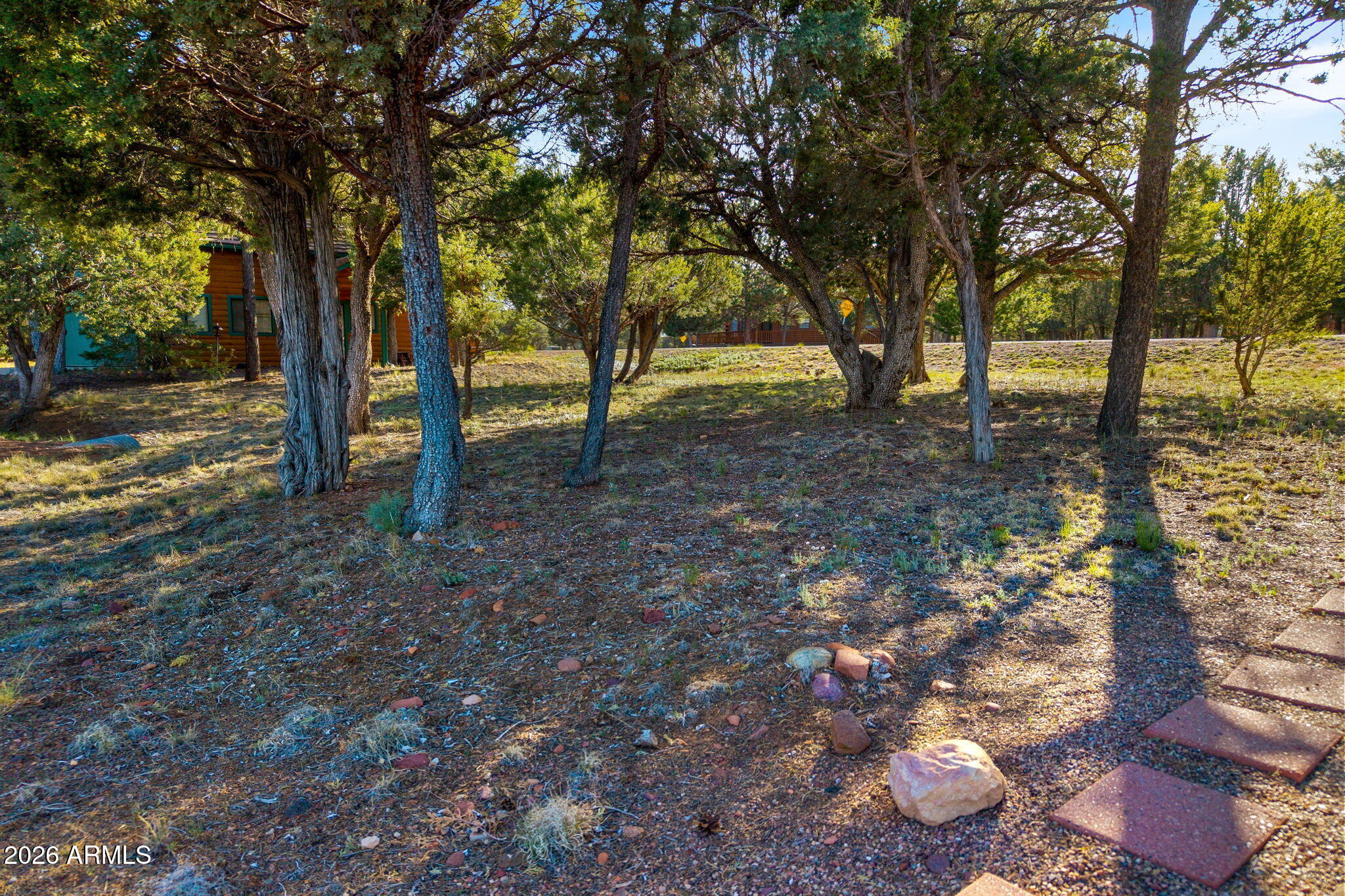 Mogollon Airpark - Land