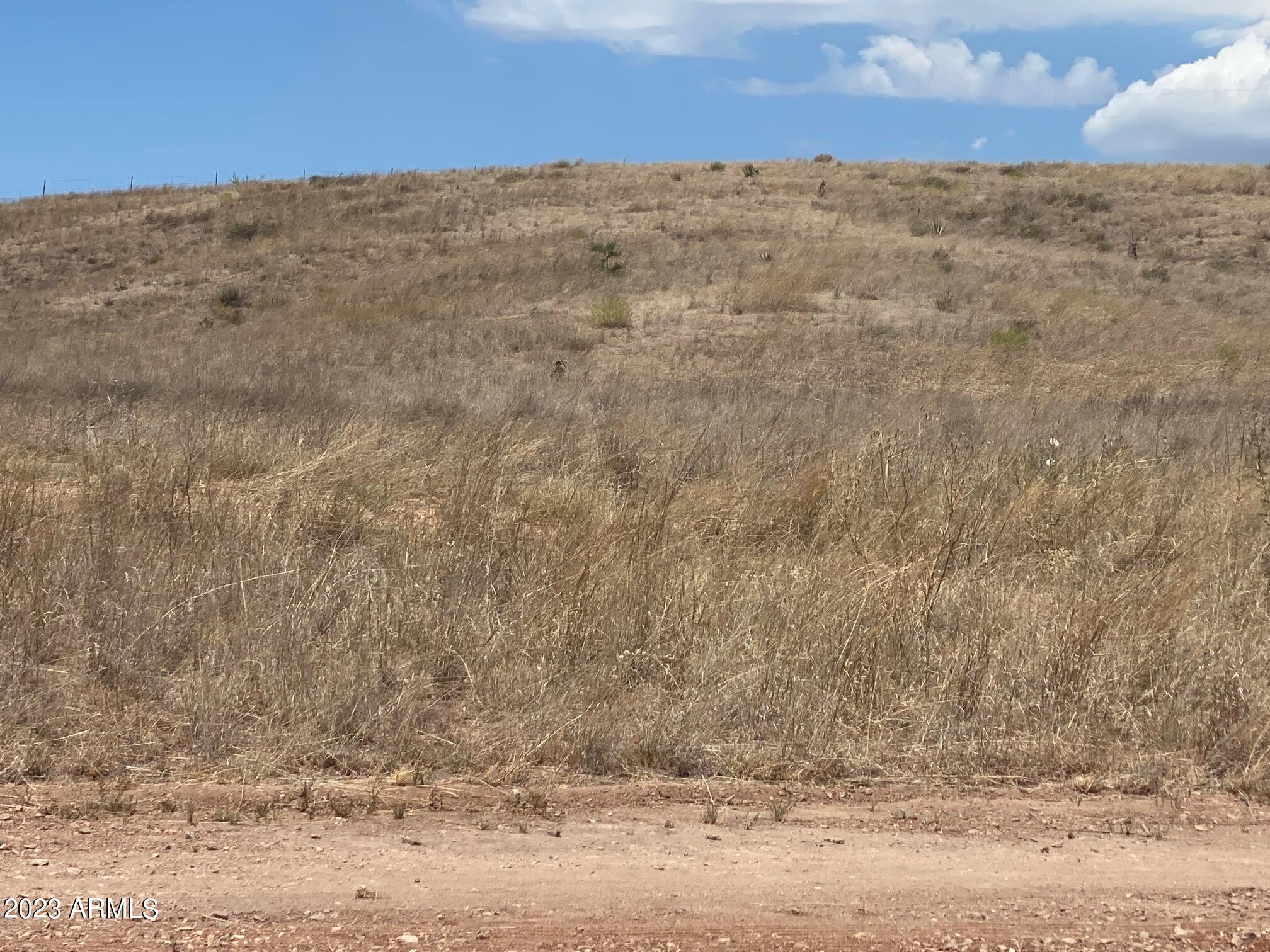 SONOITA ESTATES - Land