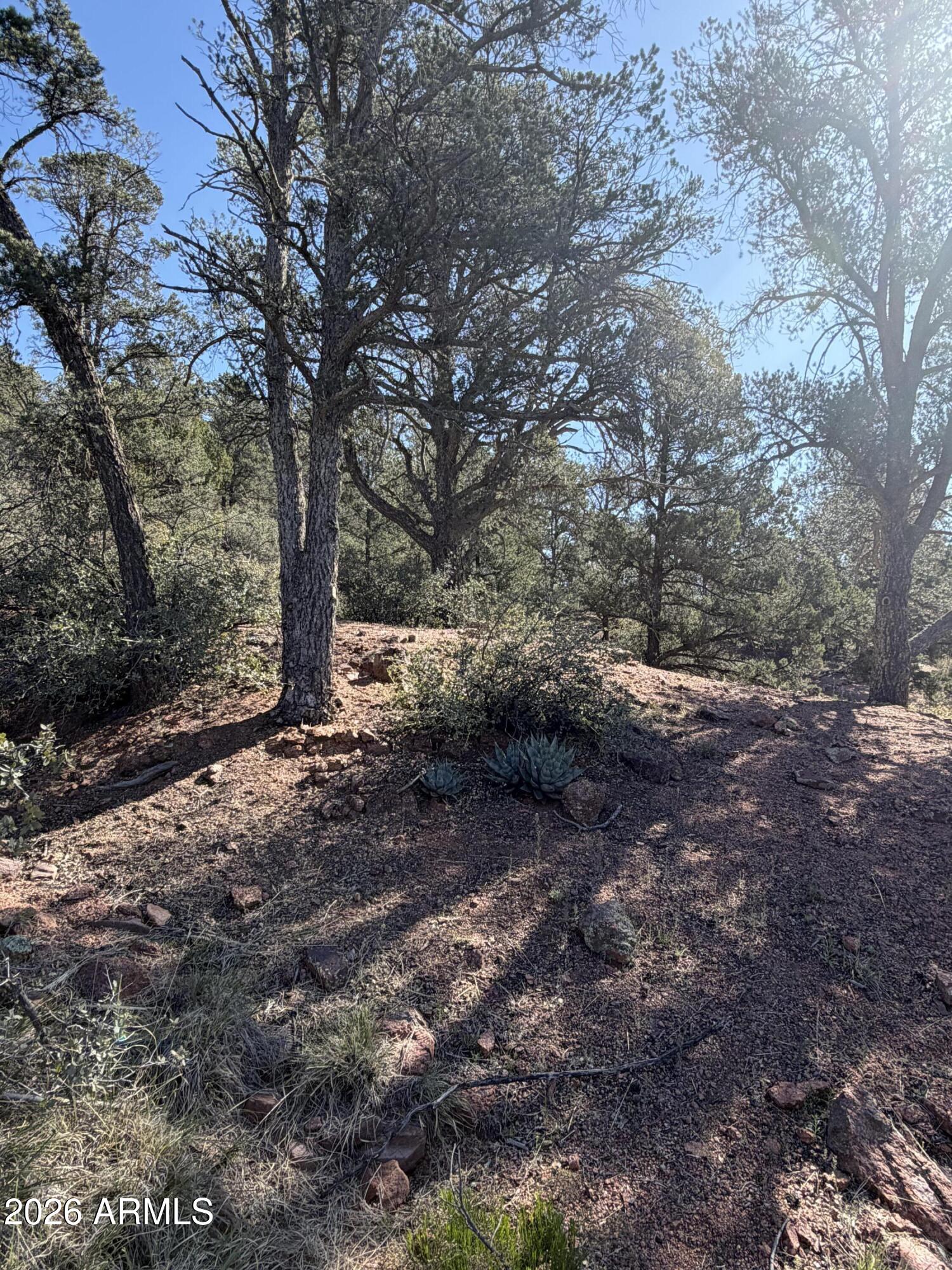WOODHILL 2 - Land