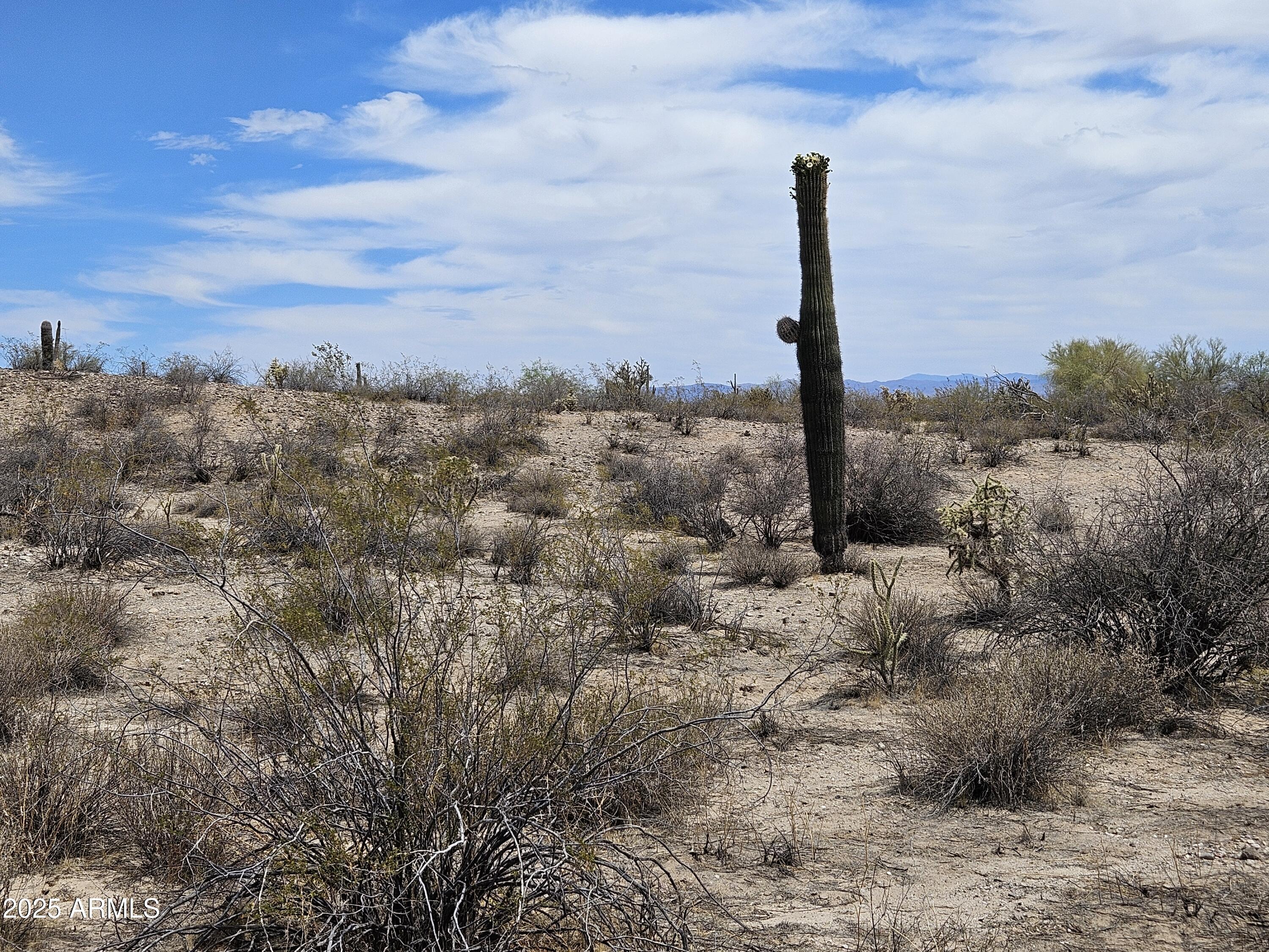 0 W Dexileta Drive 141