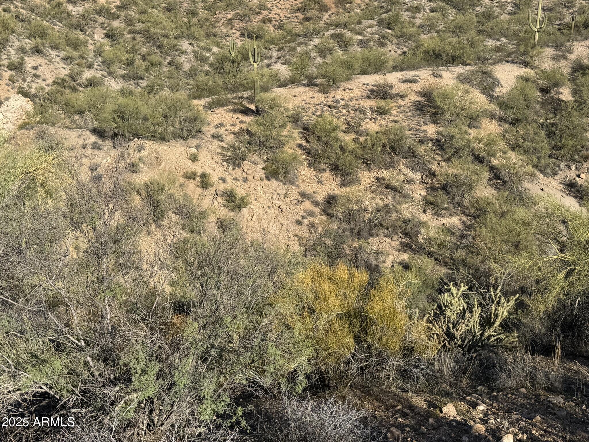 38000 S Blue Tank Trail -