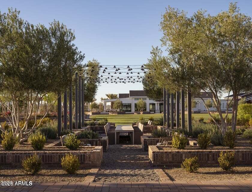 11637 N SAUSALITO Drive