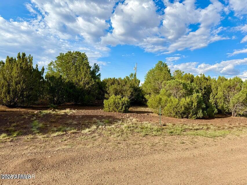 23 Co Rd 3117 -- -