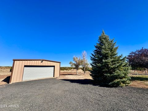 A home in Concho