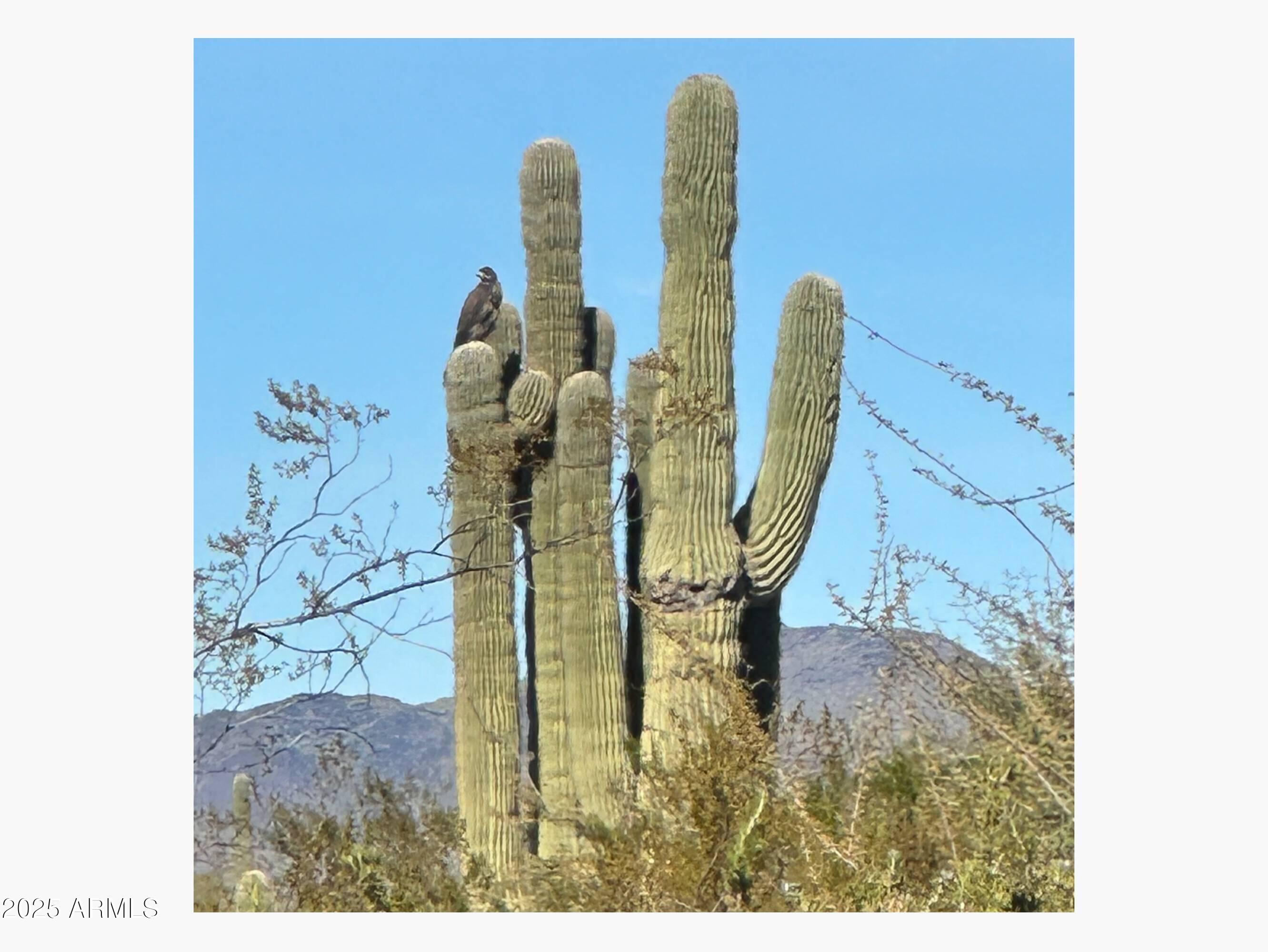 0 N CAVE CREEK Road -