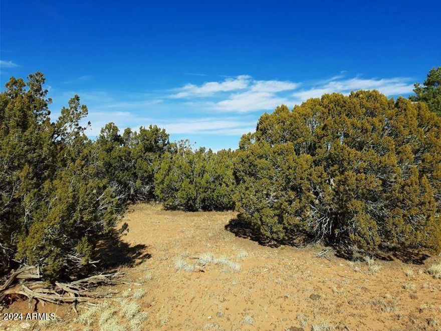 This listing is for LOT E.
MULTIPLE PARCELS AVAILABLE! Four 10-acre parcels starting at $35,000. Buy 1 or buy them all! Remote & Private. State Land on the North and East of the original 40 acres. Build your Homestead! Off-Grid living at it's BEST! Build yourself a cabin, manufactured home... Located in the White Mountains: elevation 6300' in a rural area/open range, about 15 miles from downtown Show Low & all the amenities: shopping, grocery stores, restaurants, regional hospital, regional airport.... close to Snowflake, Pinetop/Lakeside and lots of lakes. The parcels are covered in Juniper & Pinion Trees. Hauled water available (approx $160/2000 gallons) or drill a well. Off-Grid power needed, solar/generator or alternative energy. Septic would need to be installed. NO FLOOD. The wire fence on the East boundary running N/S is NOT actual the boundary. All the stakes are in for the 10 acre splits. There is a 30' Roadway around every 40 acre parcel in Section 9. Refer to Survey.

Best way to get to the original 40 acre parcel would be to drive up the west side of the parcels 404-69-004S & 404-69-005N (from Shady Oak) to the SW corner of the original 40 acre parcel - PIC 2A under the PHOTOS