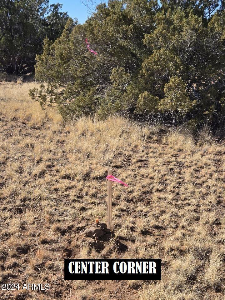 Multiple 10 Acre Parcels available.
404-69-005  C, D, E, F - Land