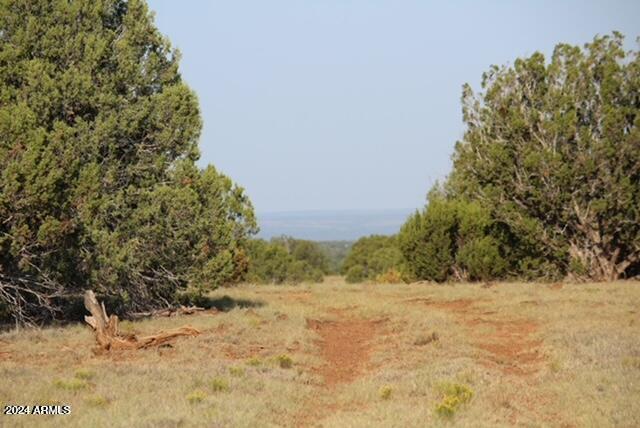 4 parcels N Shady Oak 404-69-005 /10+acres -- E