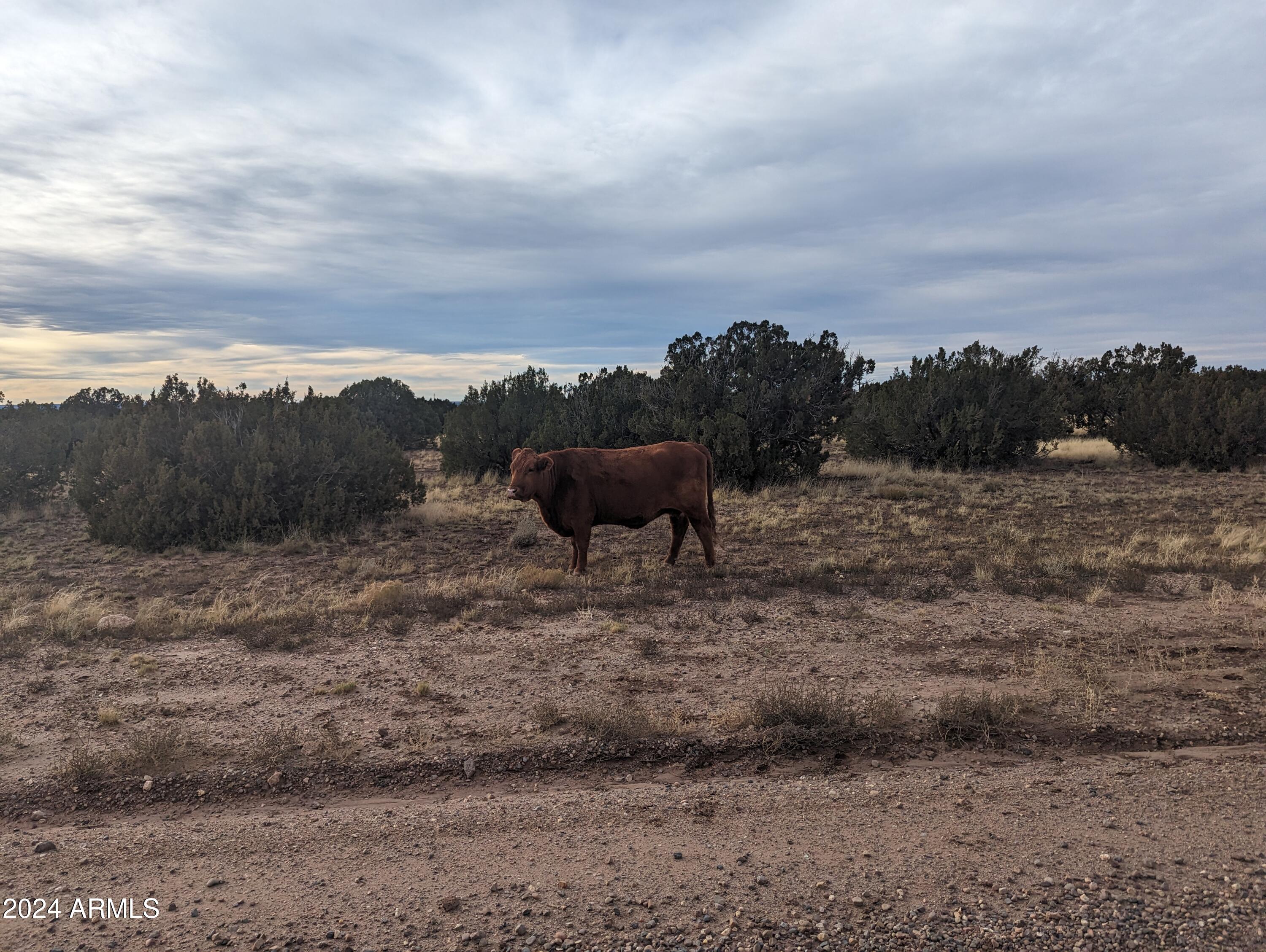 Multiple 10 Acre Parcels available.
404-69-005  C, D, E, F - Land