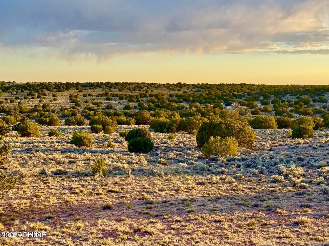 TBD Co Rd N7120 40 Acres -- -