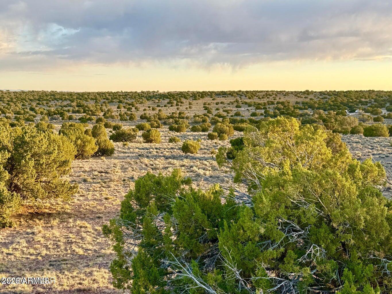 TBD Co Rd N7120 40 Acres -- -