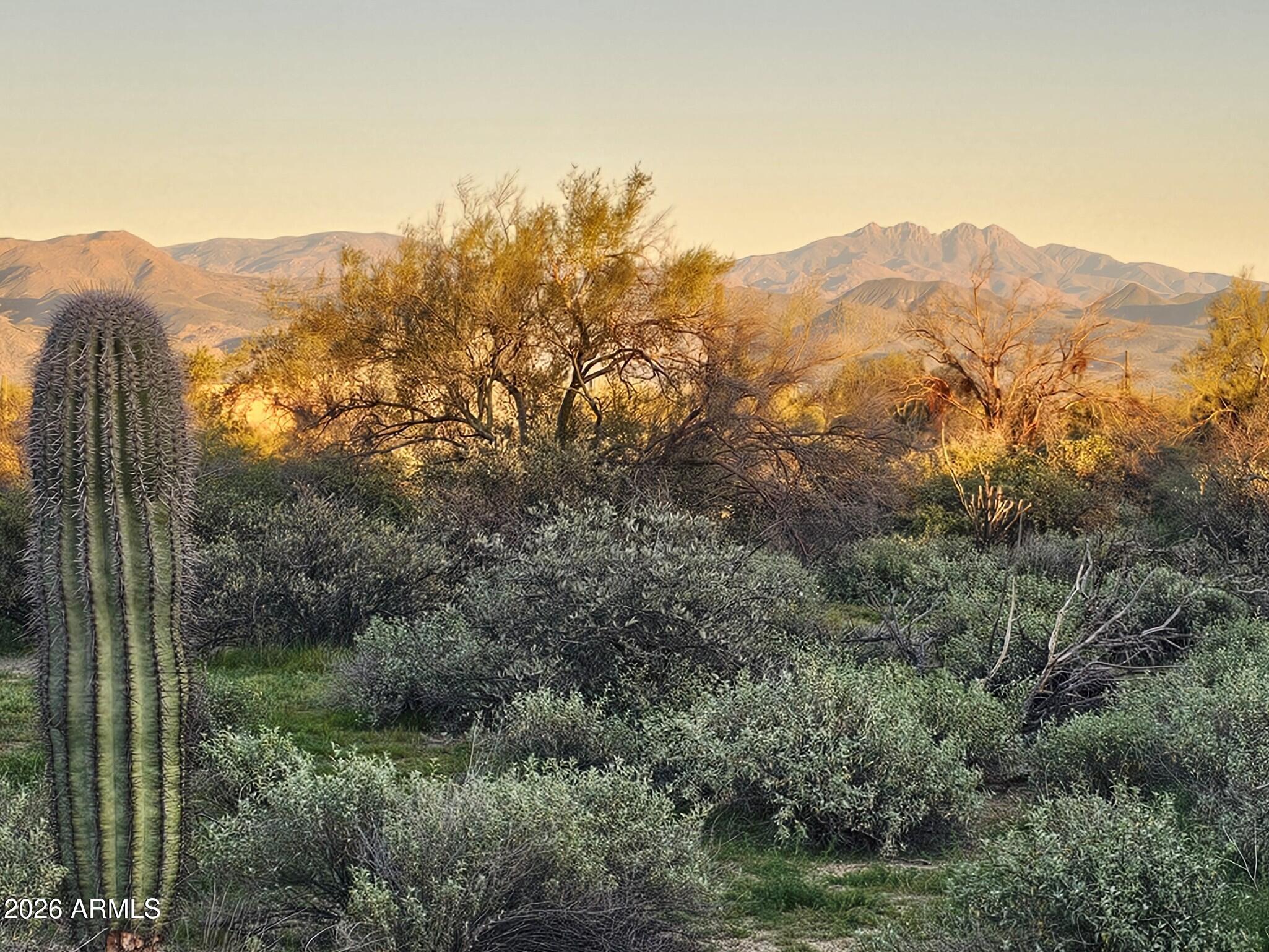 32XXX N 162ND Street F