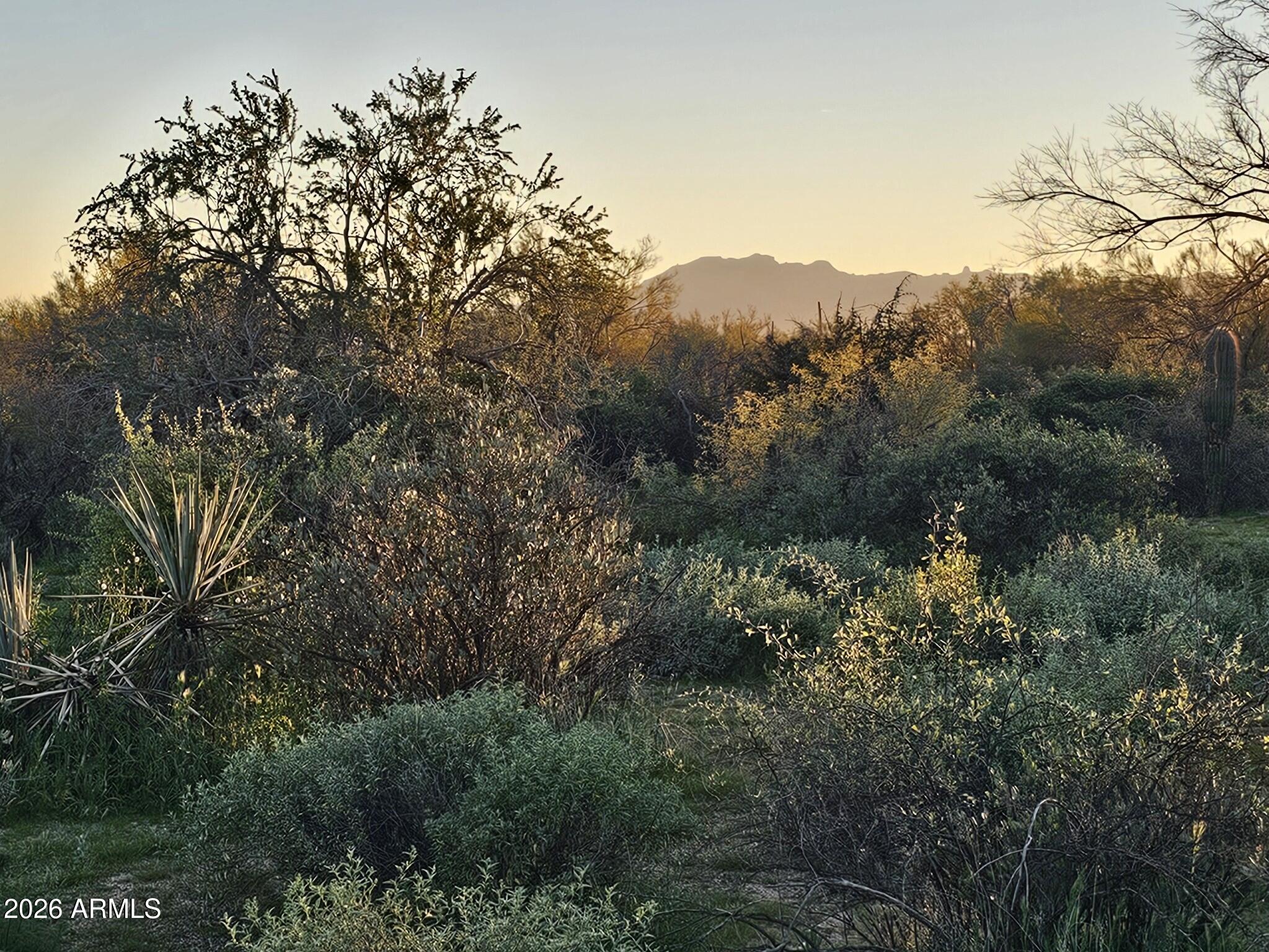 RIO VEREDE FOOTHILLS - Land