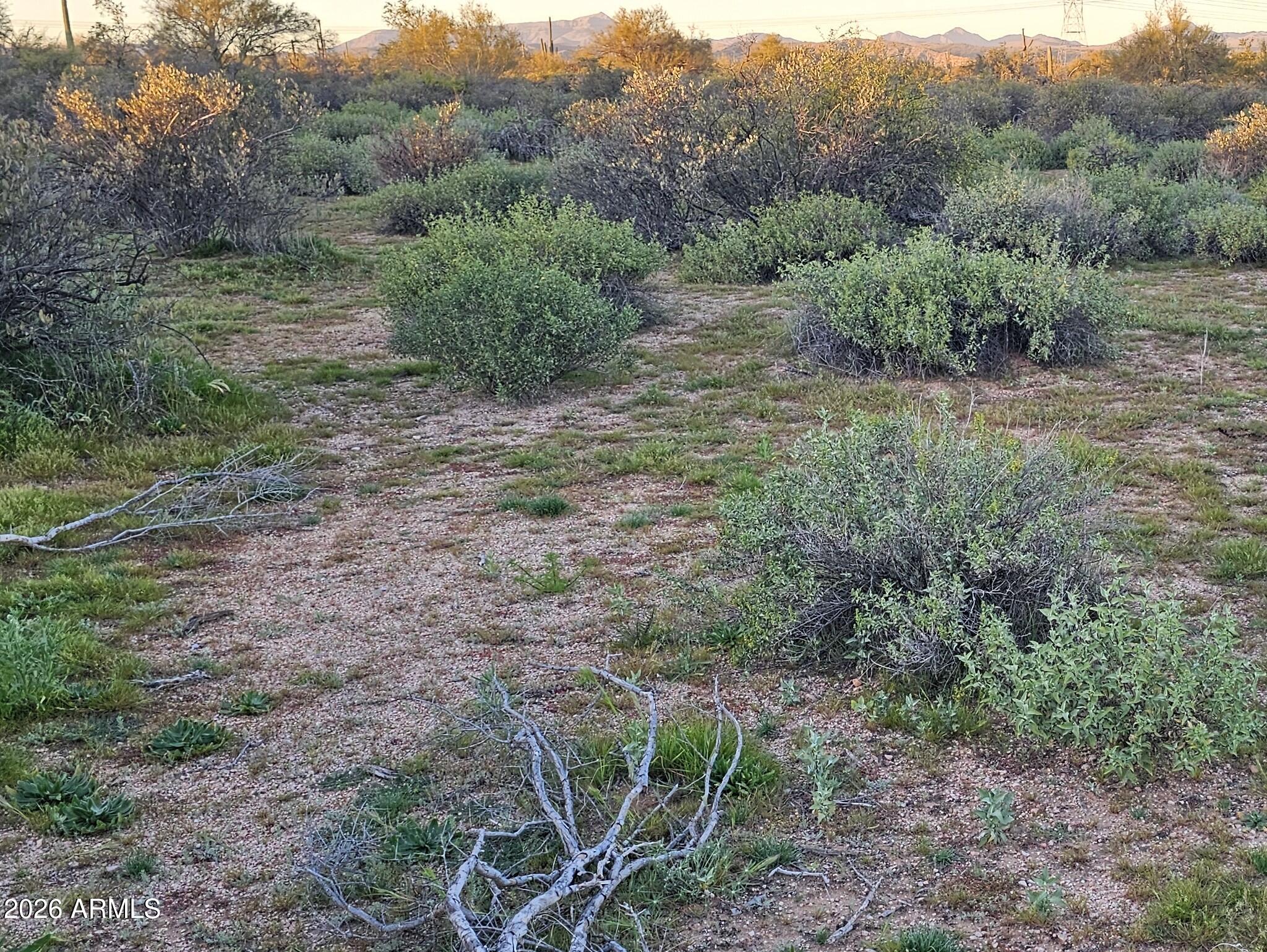RIO VEREDE FOOTHILLS - Land