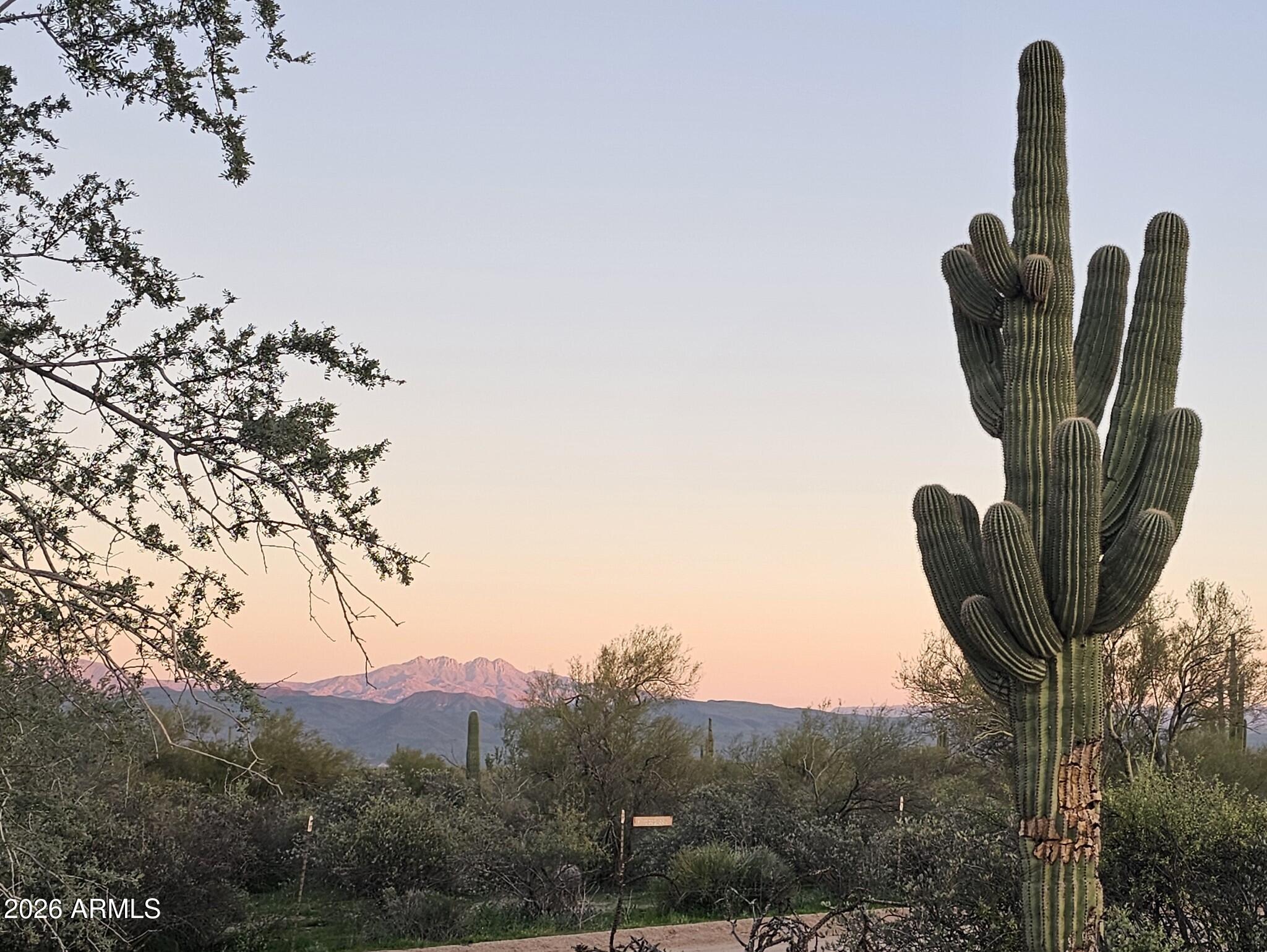 32XXX N 162ND Street F