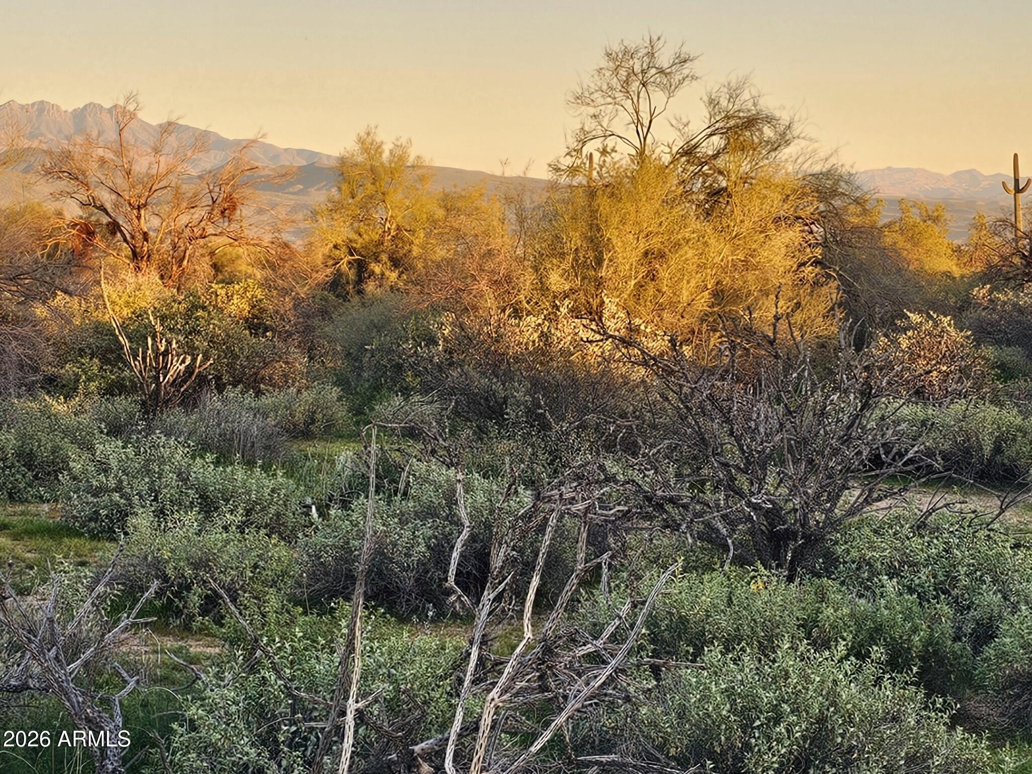 RIO VEREDE FOOTHILLS - Land