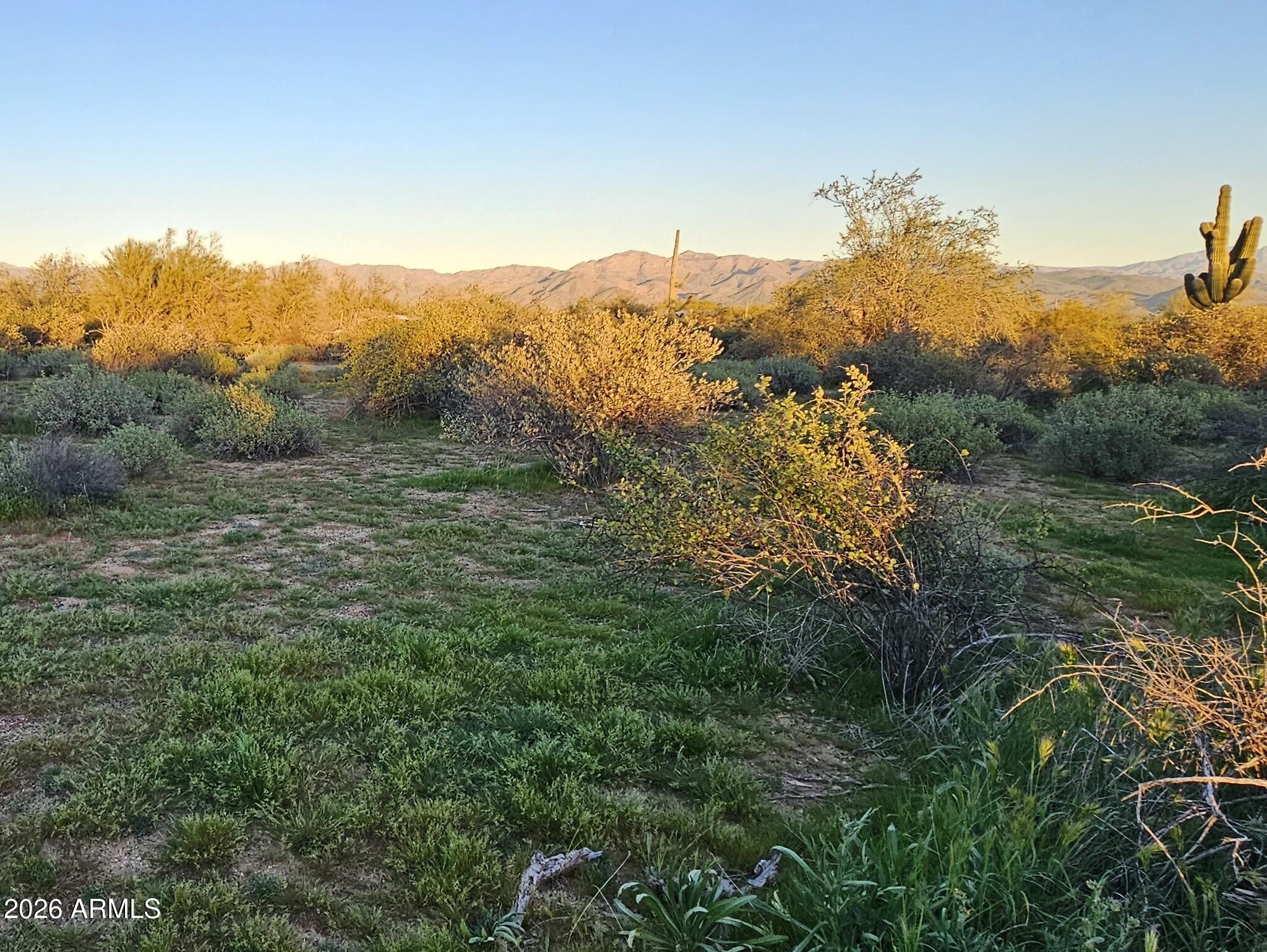 32XXX N 162ND Street F