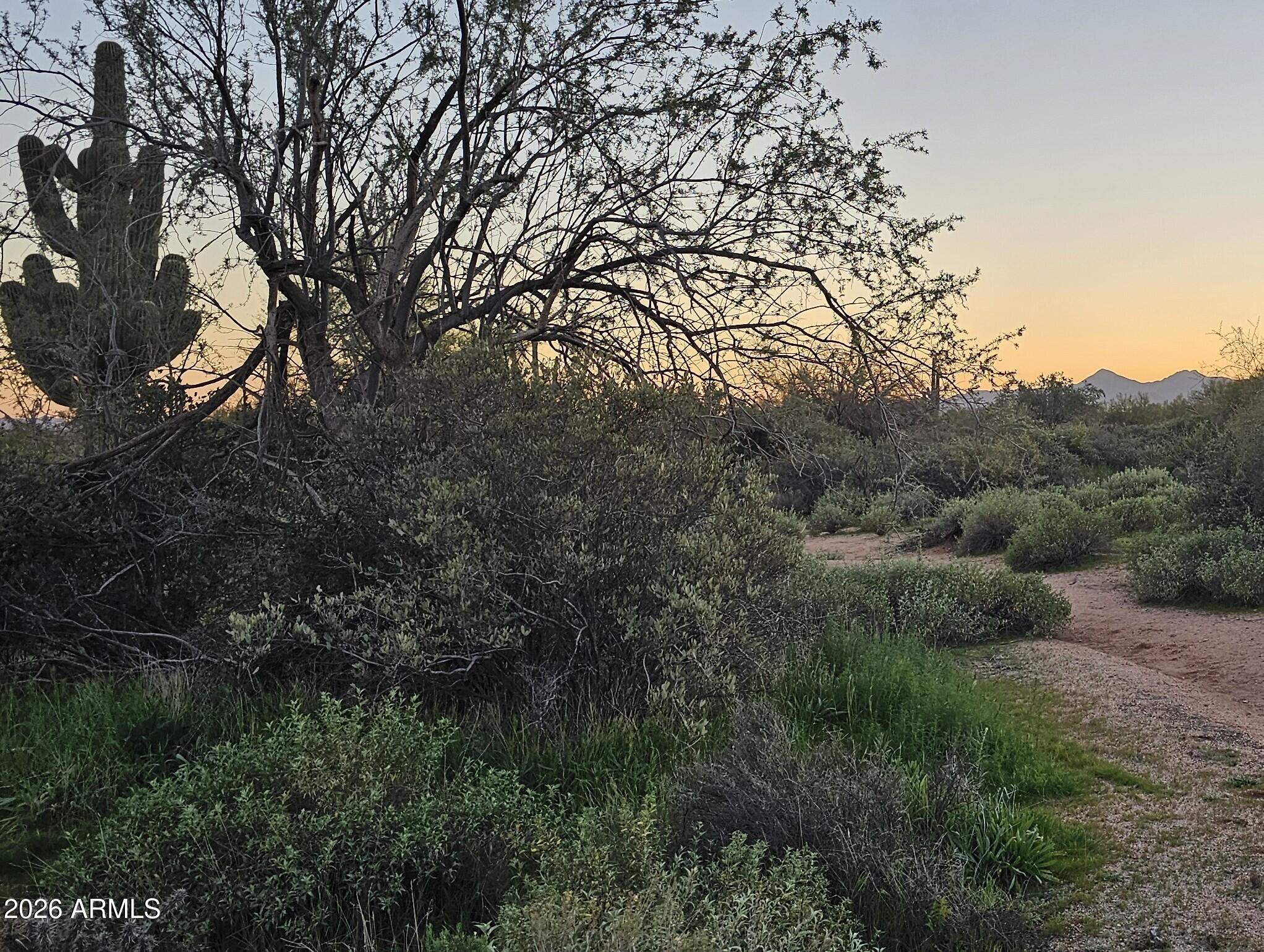 RIO VEREDE FOOTHILLS - Land