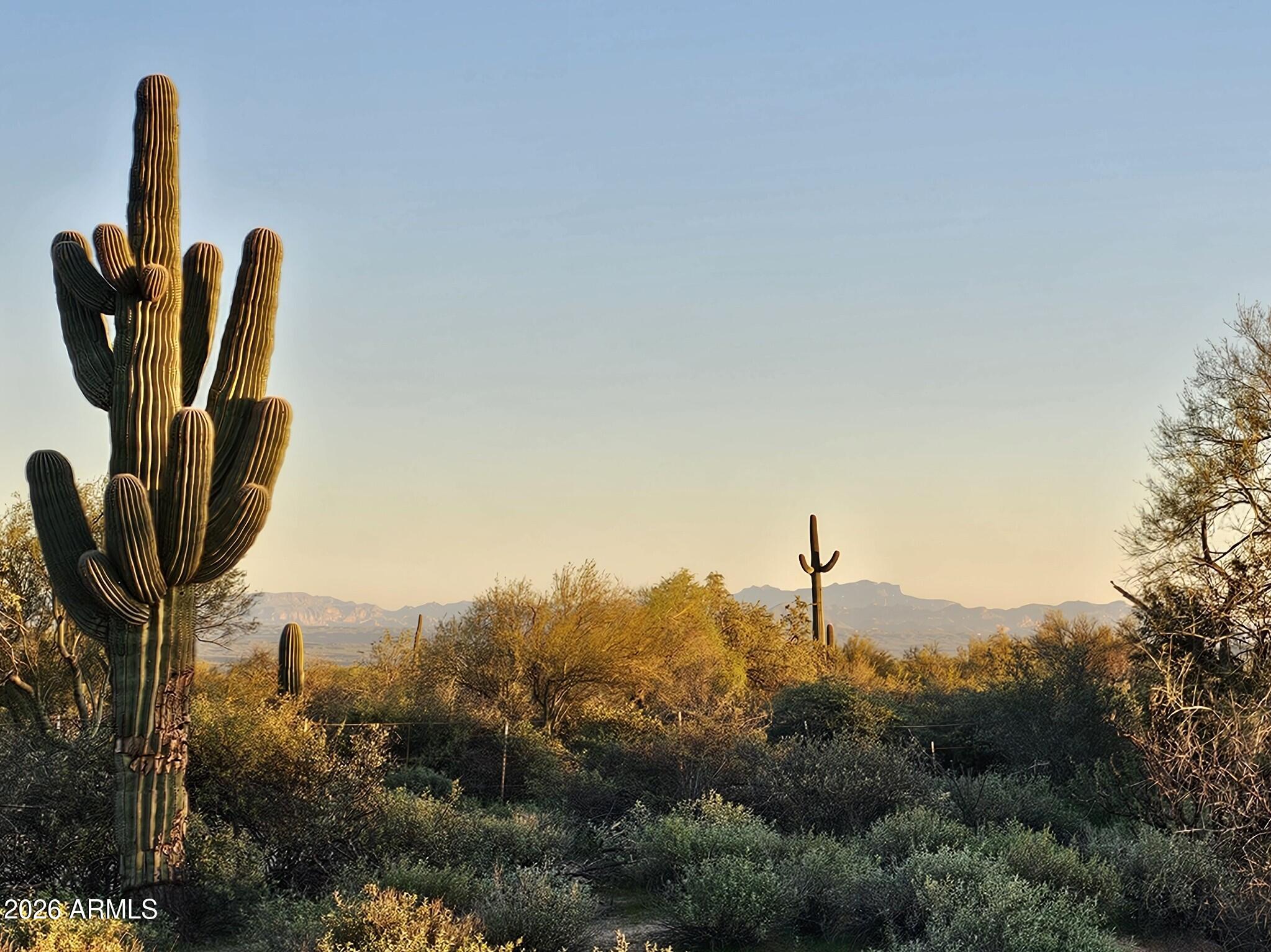 32XXX N 162ND Street F