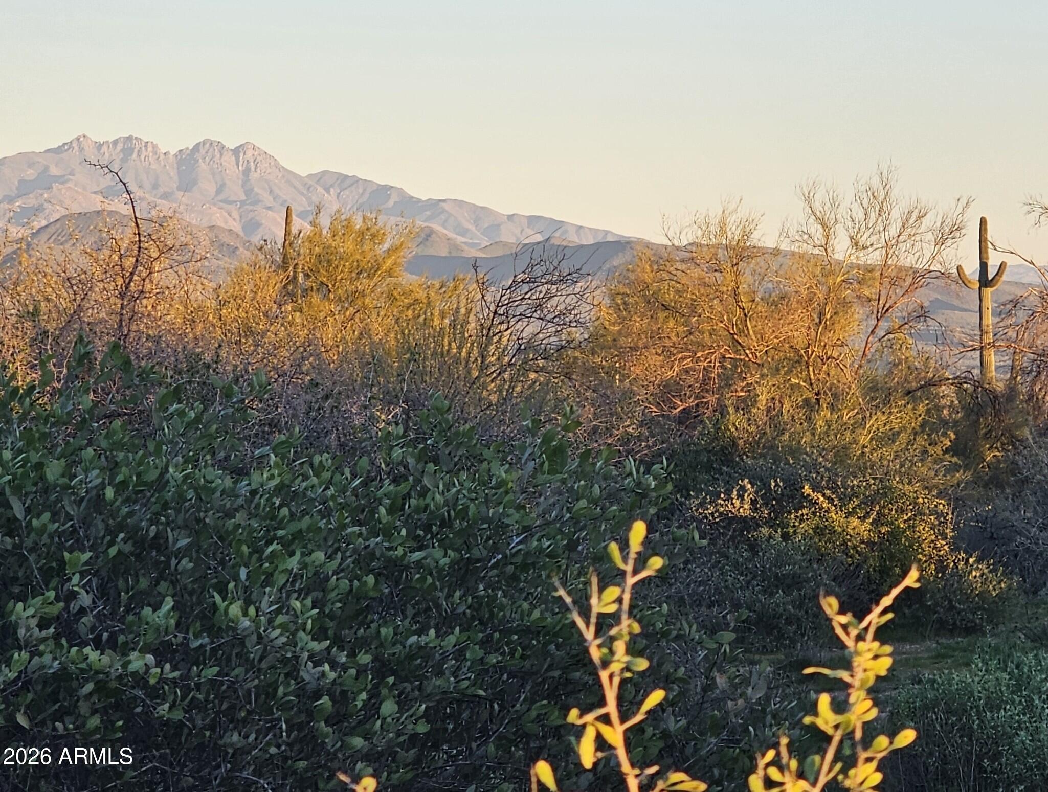 32XXX N 162ND Street F