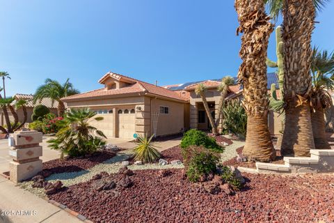 10214 E COOPERS HAWK Drive Sun Lakes AZ 85248