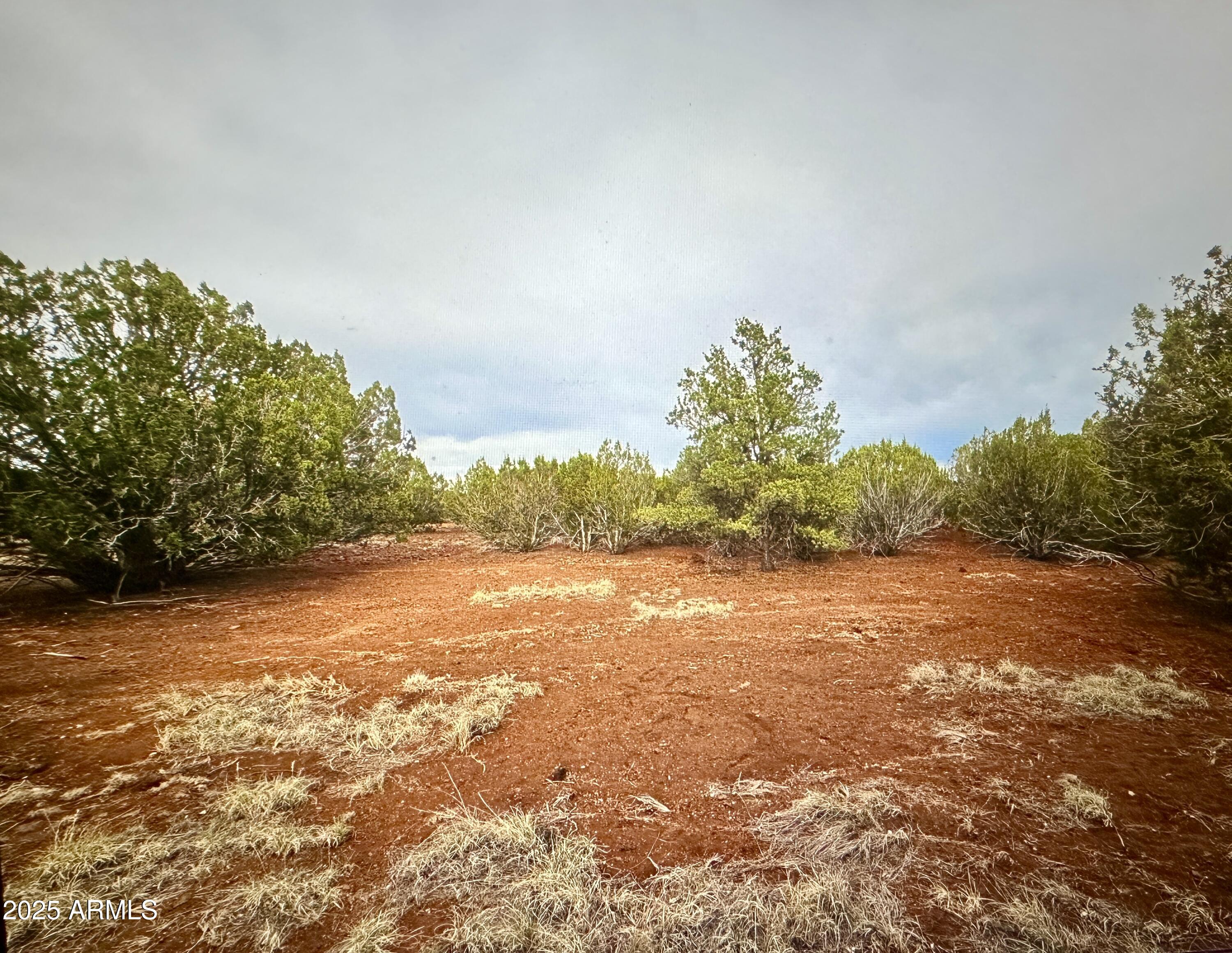 65 N8148 -- -