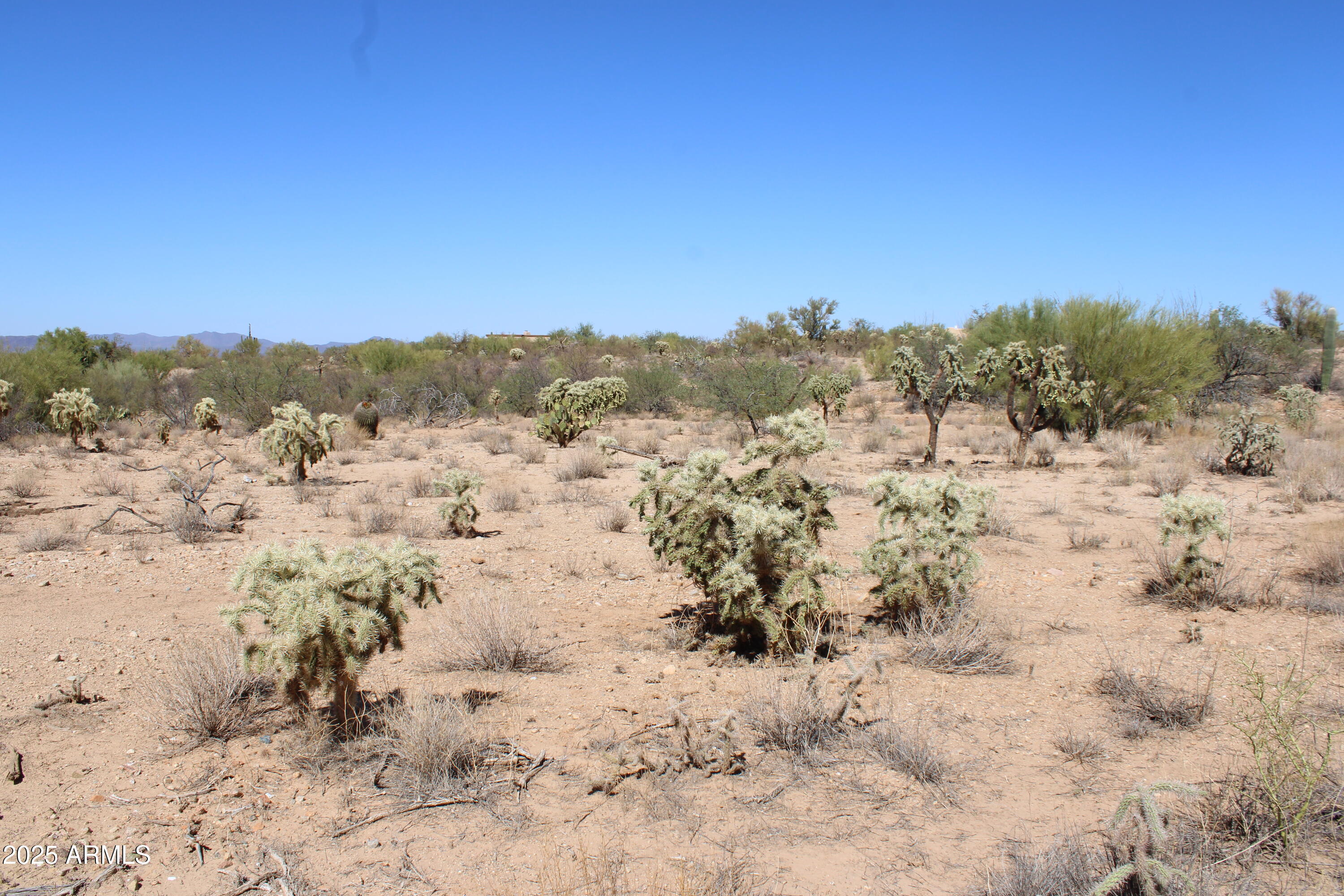 14243 S SHAW Road 00331