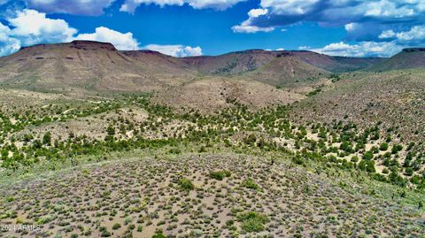 XXXXX E Diamond Bar Road E - Meadview AZ 86444