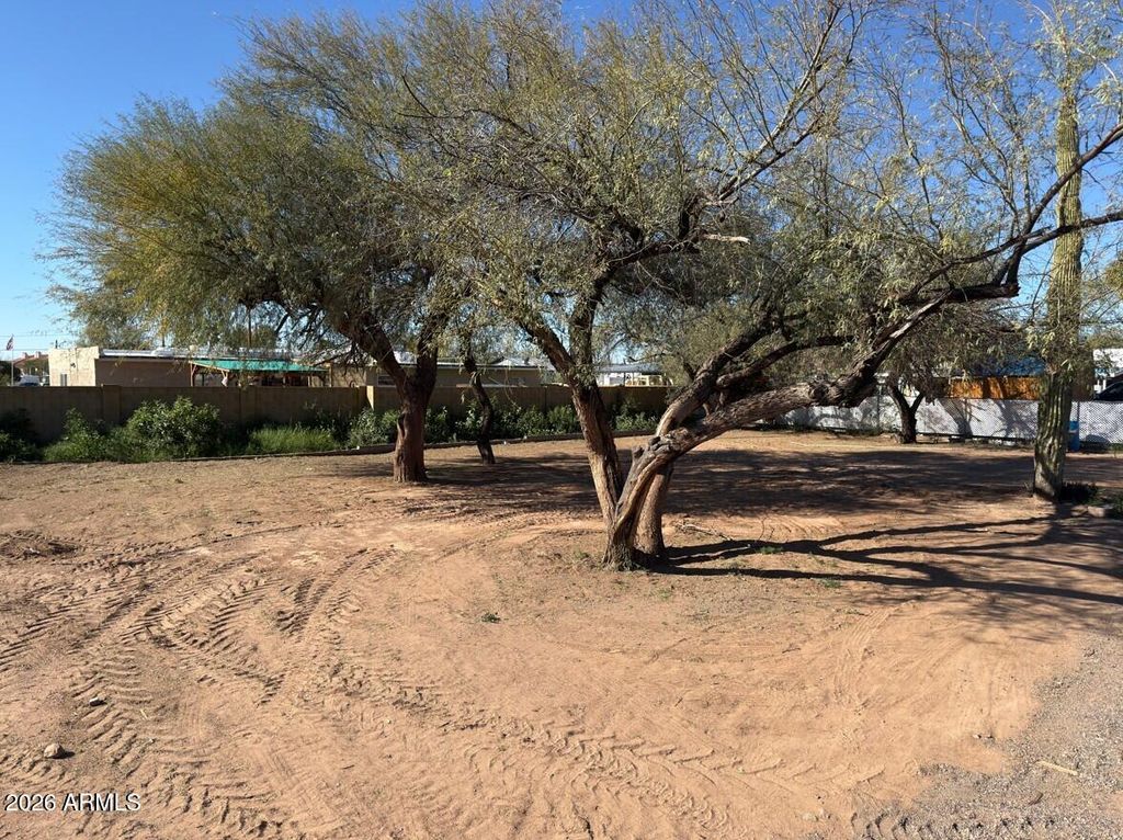 Photo of 292 S Ocotillo Drive #41, Apache Junction, AZ 85120 (MLS # 6983781)