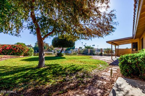 3821 N FOREST Lane Avondale AZ 85392