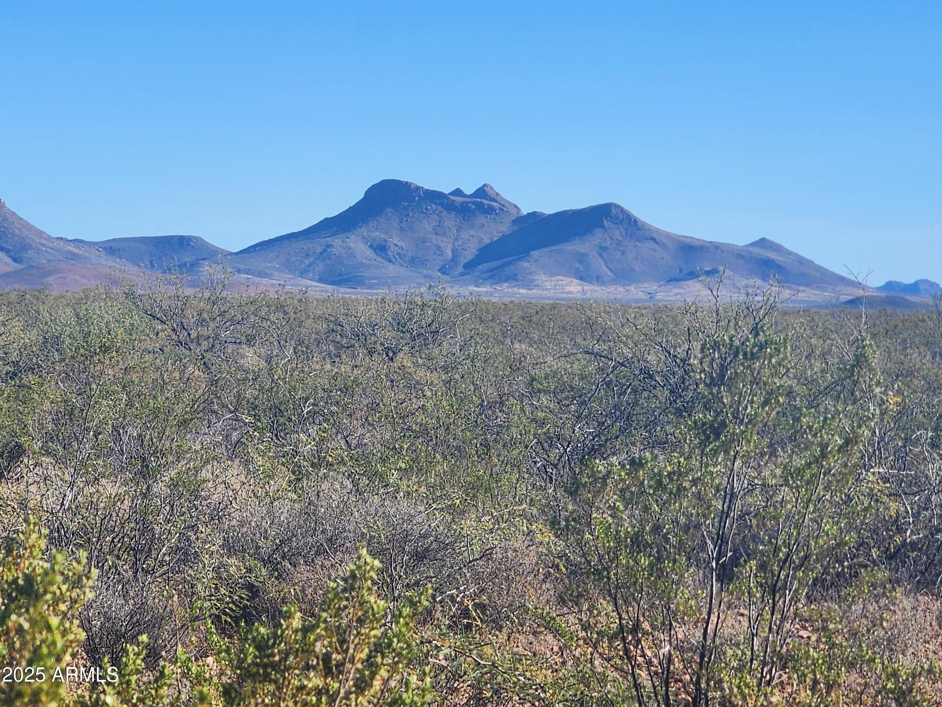 xxxx E Cll Principal -- 258