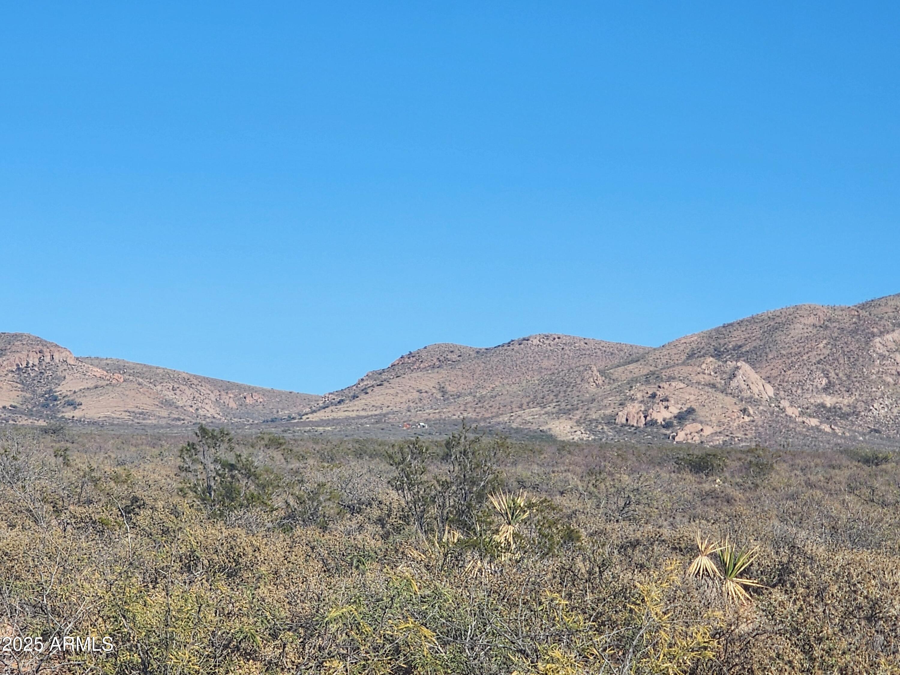 xxxx E Cll Principal -- 258