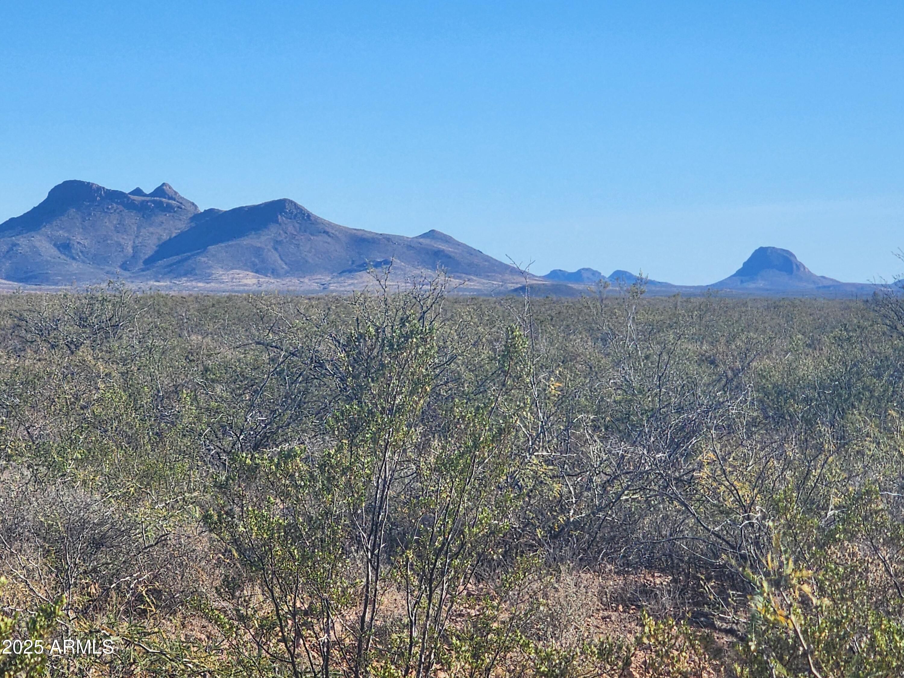 xxxx E Cll Principal -- 258