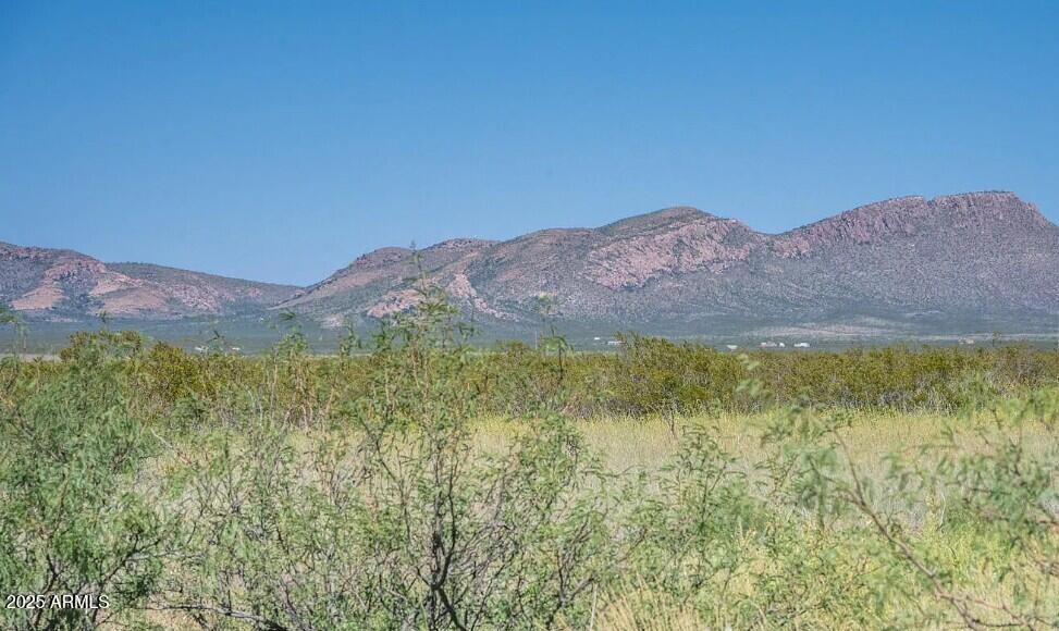 xxxx E Cll Principal -- 258