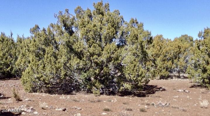 84 COUNTY ROAD N3133 Road 85