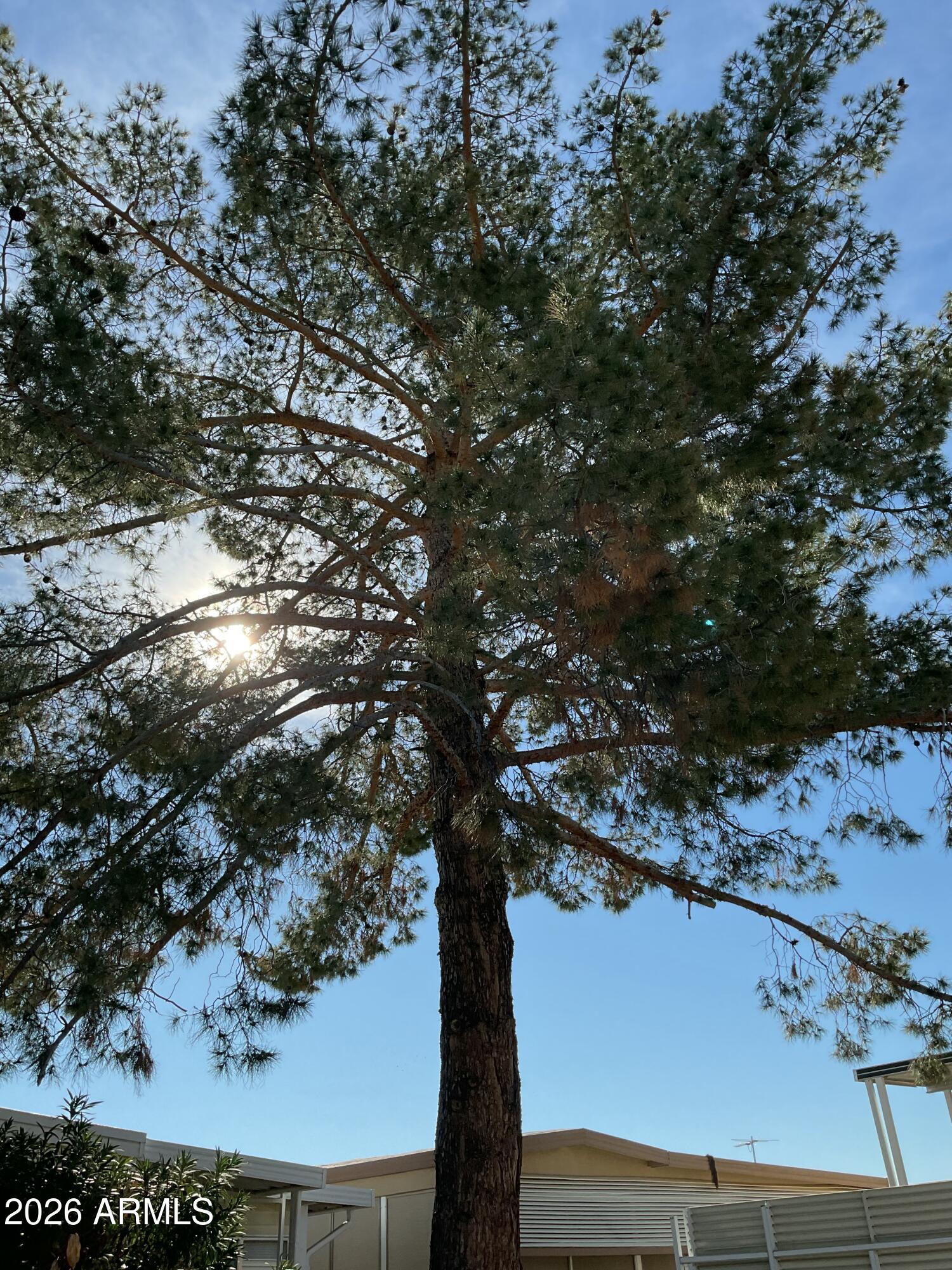 17200 W BELL Road 242