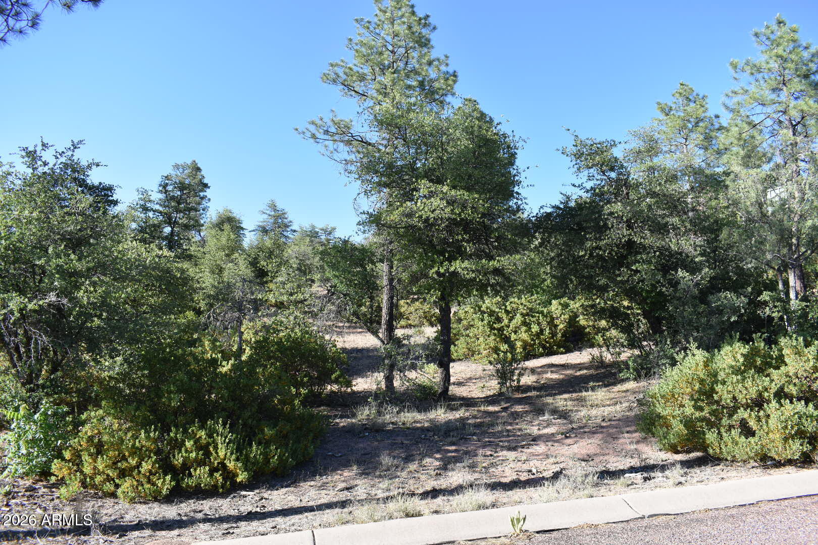 LOT 19 E PINE RIDGE Drive 19