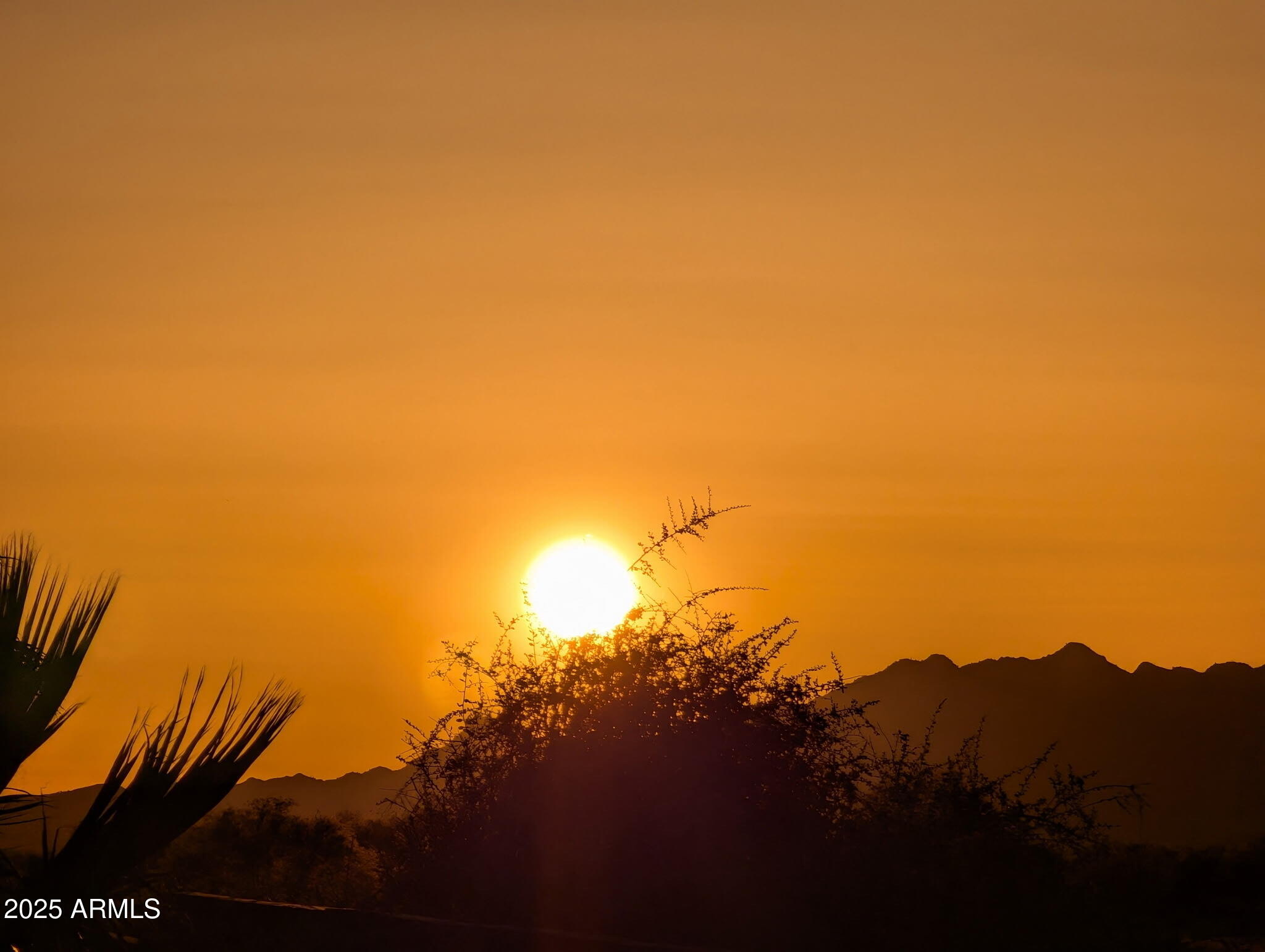 44254 W ADOBE Circle