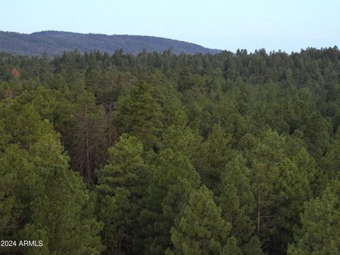 A home in Payson