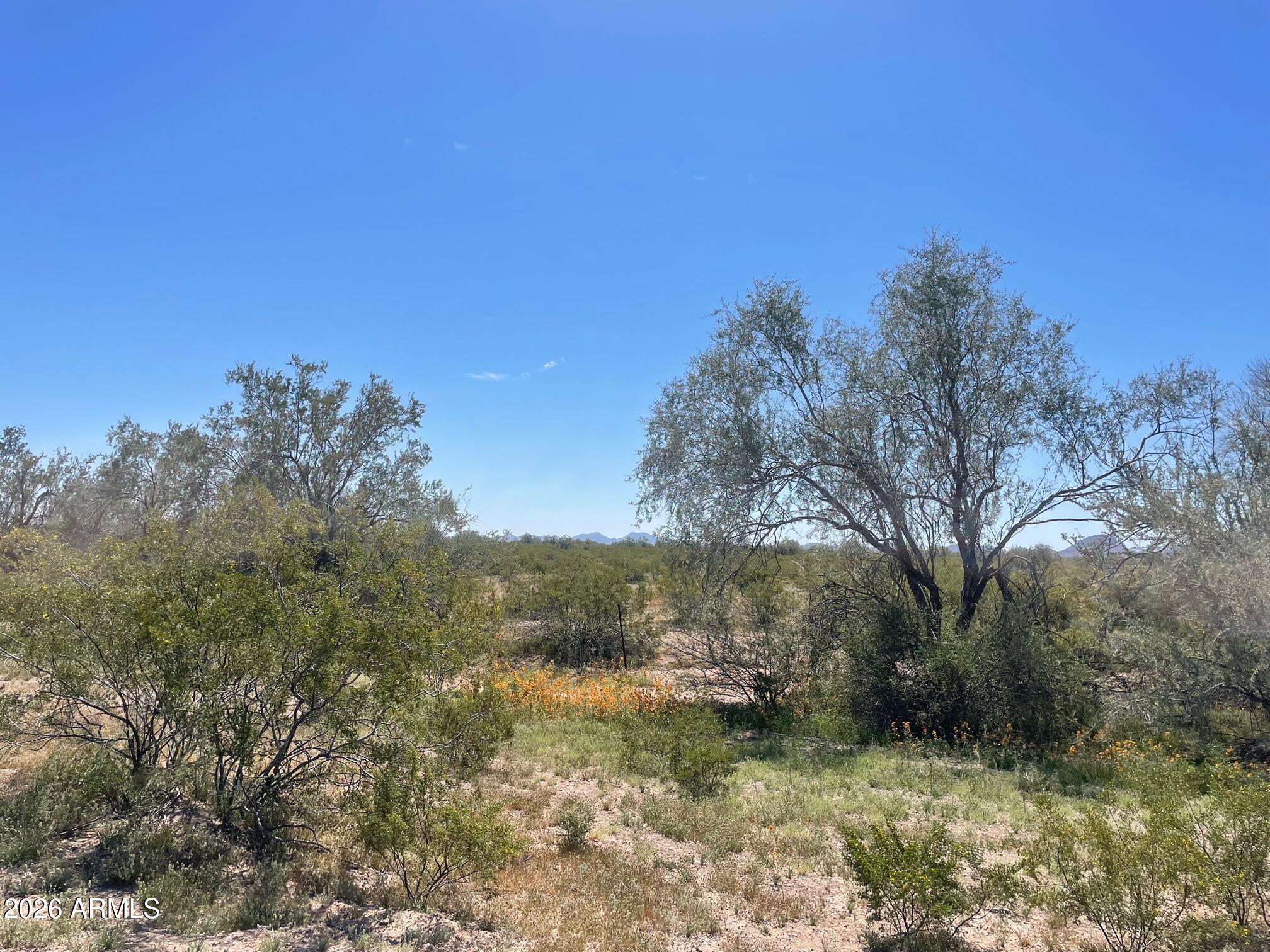0 Connelley Road -