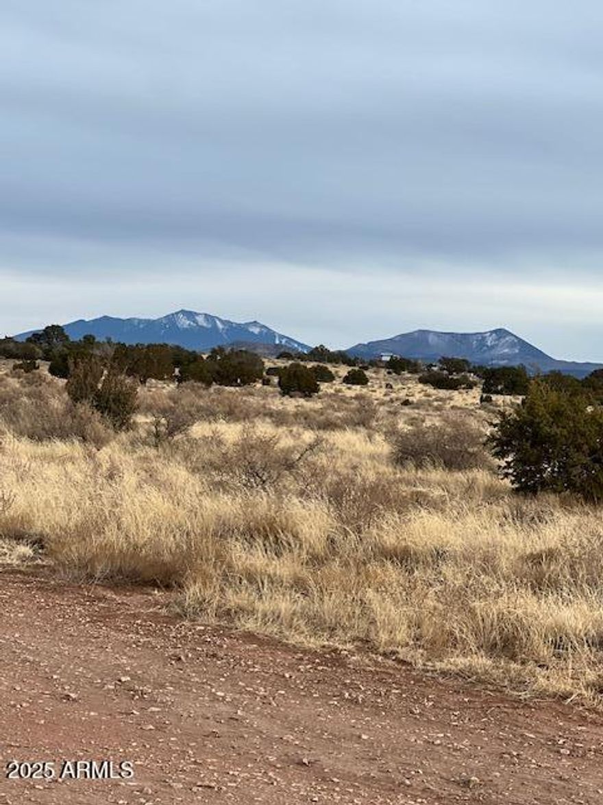 Affordable 2.53 acres of Arizona land for under $17K. Great opportunity to own a piece of off-grid property! Offering stunning natural surroundings and endless possibilities. Whether you're looking to build your dream home, invest in land, or create a weekend getaway, this property provides the ideal setting. Gateway to the Grand Canyon. Ample Space, plenty of room for a cabin, or recreational retreat.  Scenic Views. Enjoy panoramic vistas of Arizona's stunning high desert and star-filled night skies. Outdoor Adventure Nearby. Close to the Kaibab National Forest, hiking, hunting, and off-road trails. Conveniently located less than 2 miles from the nearest gas station and stores, making it easily accessible for daily needs. Great for the family getaway. Visit Bearizona, and many more sites