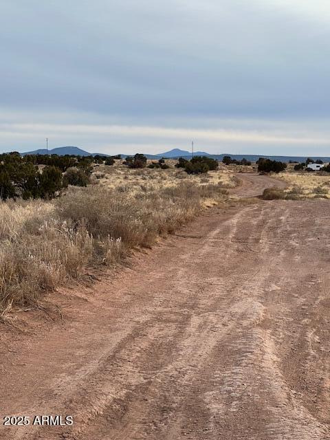 4182 E PALOMAR Drive 12