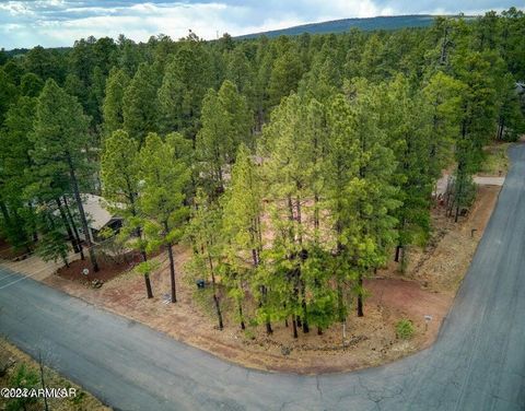 A home in Pinetop